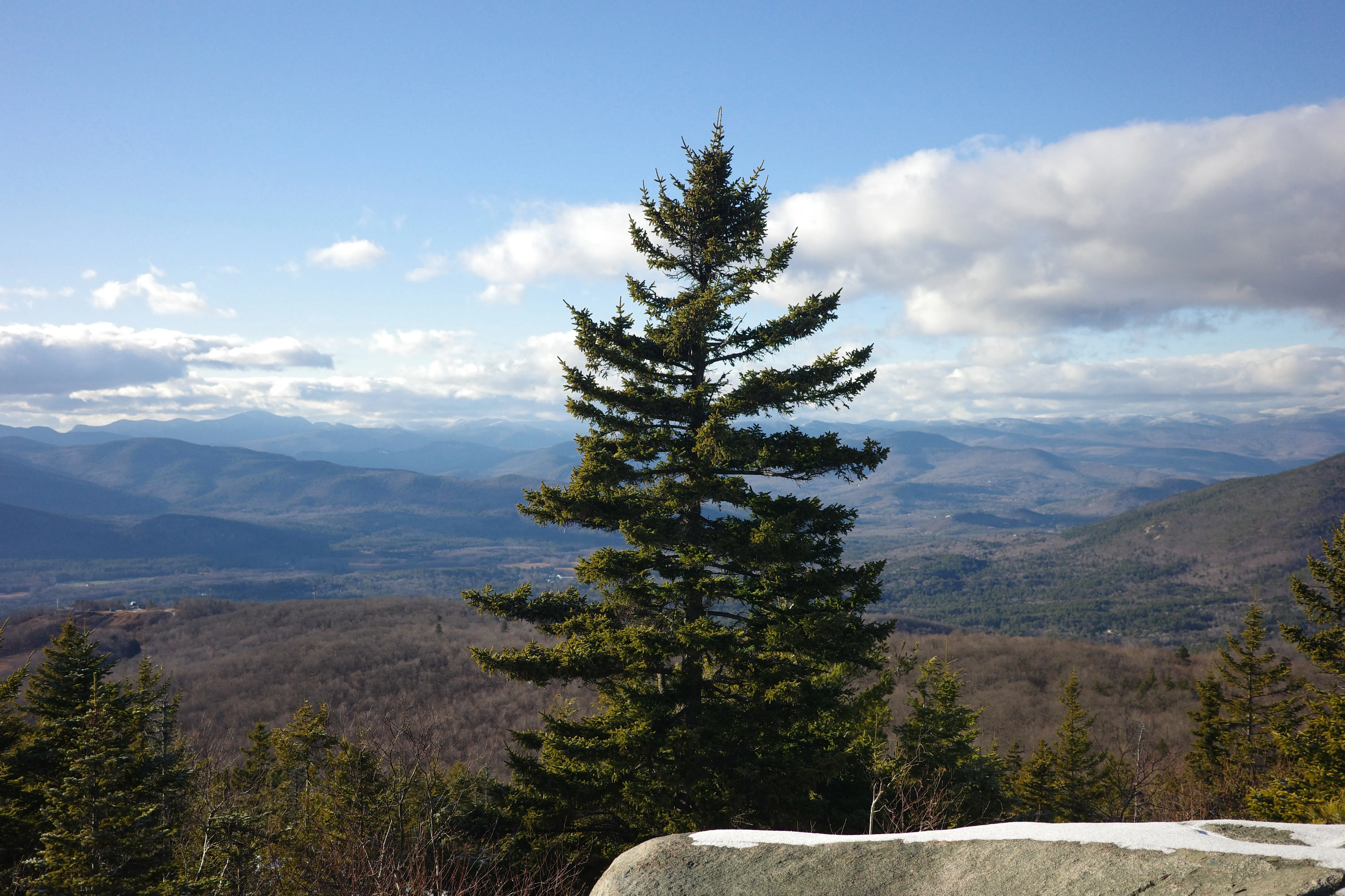 Top of Black Cap